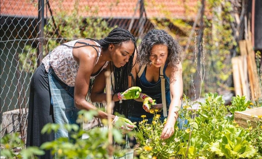 Two women tending a garden together